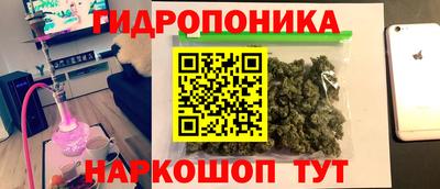 винт Гай