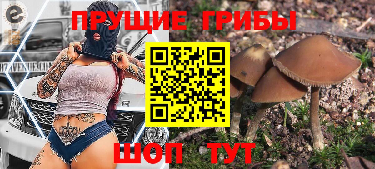 Галлюциногенные грибы ЛСД Москва