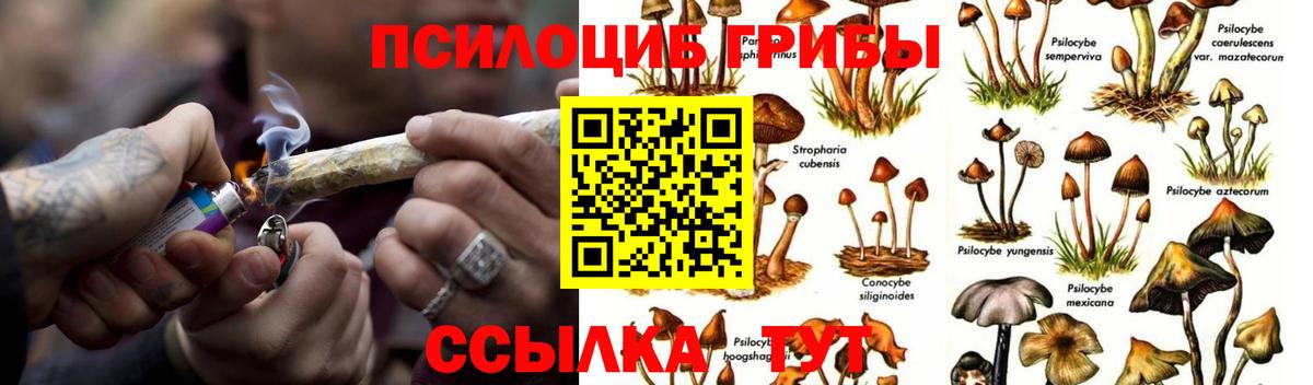 сколько стоит  Вход с VPN  Москва  Галлюциногенные грибы Psilocybe 